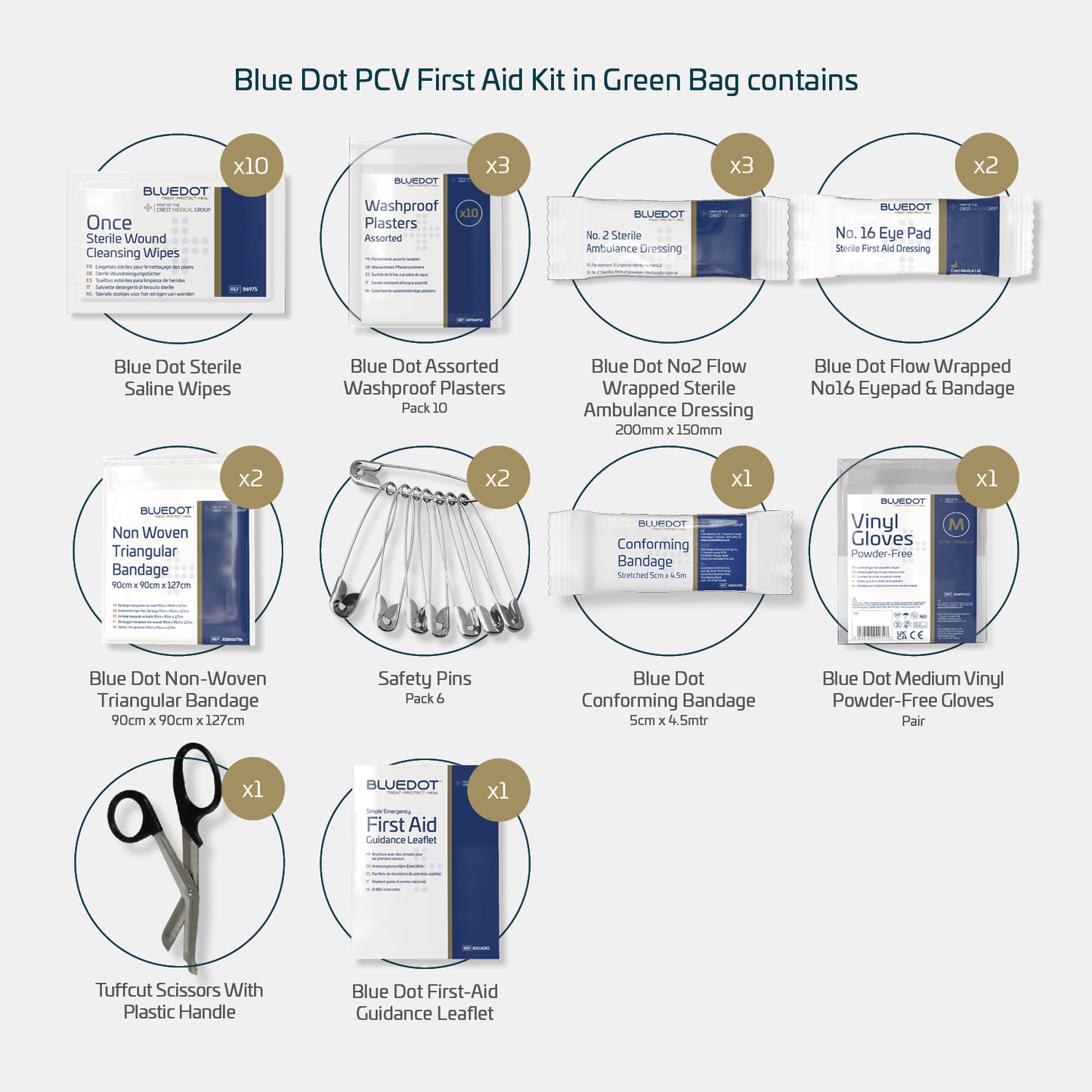 Blue Dot PCV First Aid Kit in Green Bag