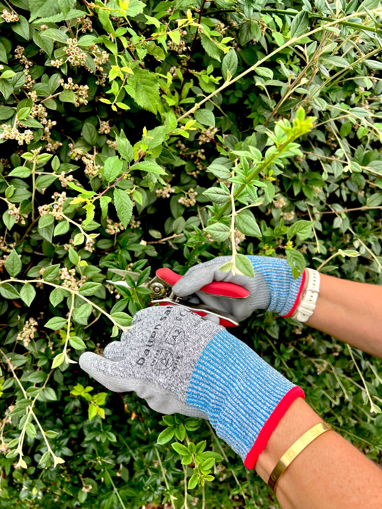 Dalton Safety DS301 Cut B Gloves