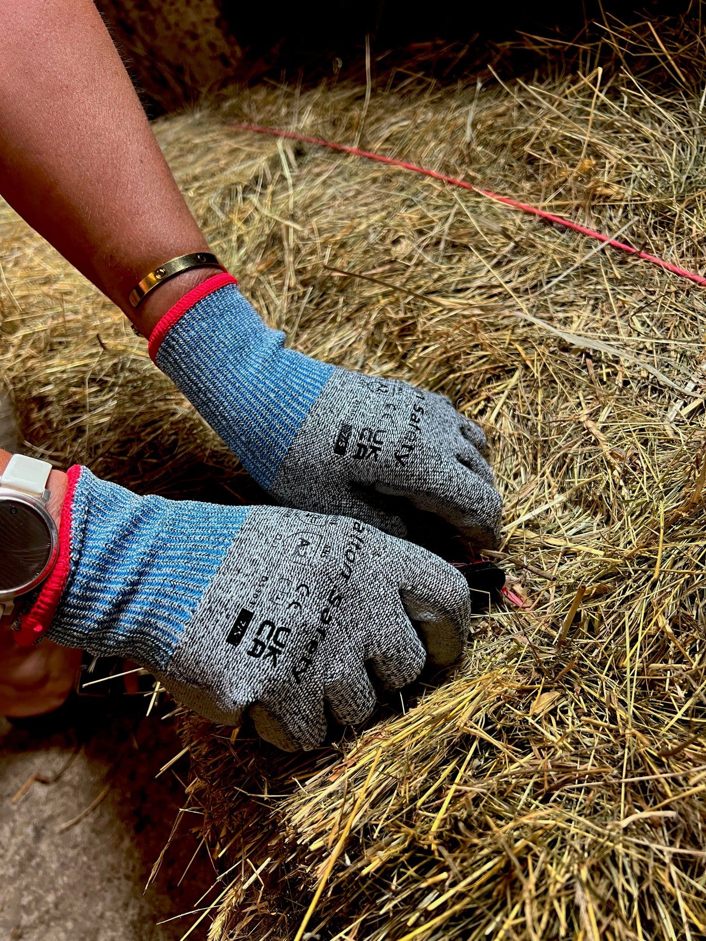 Dalton Safety DS301 Cut B Gloves