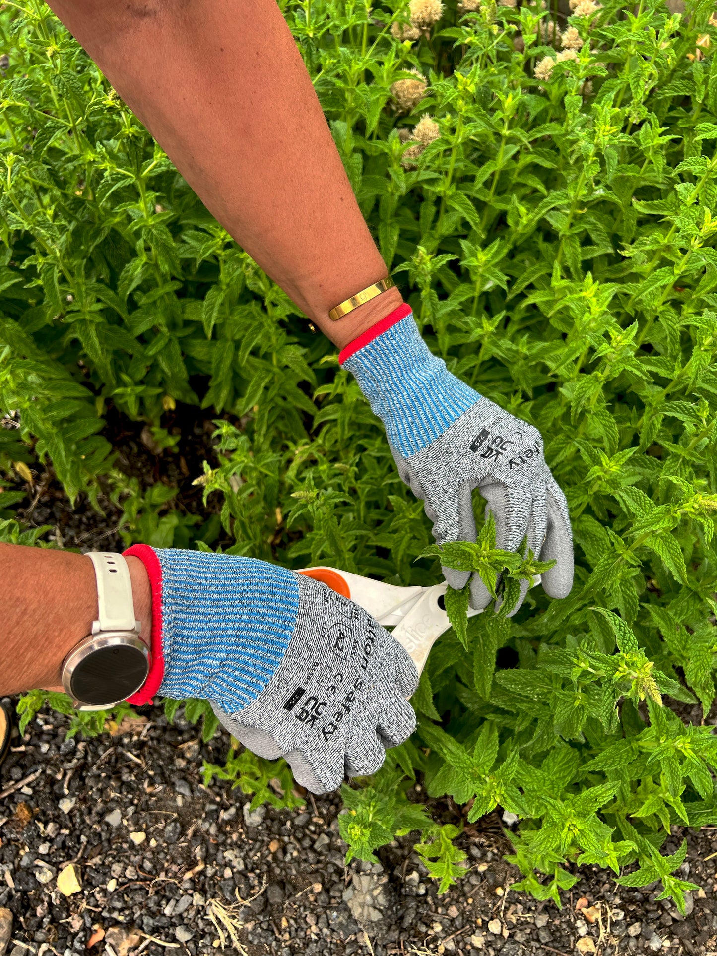 Dalton Safety DS301 Cut B Gloves