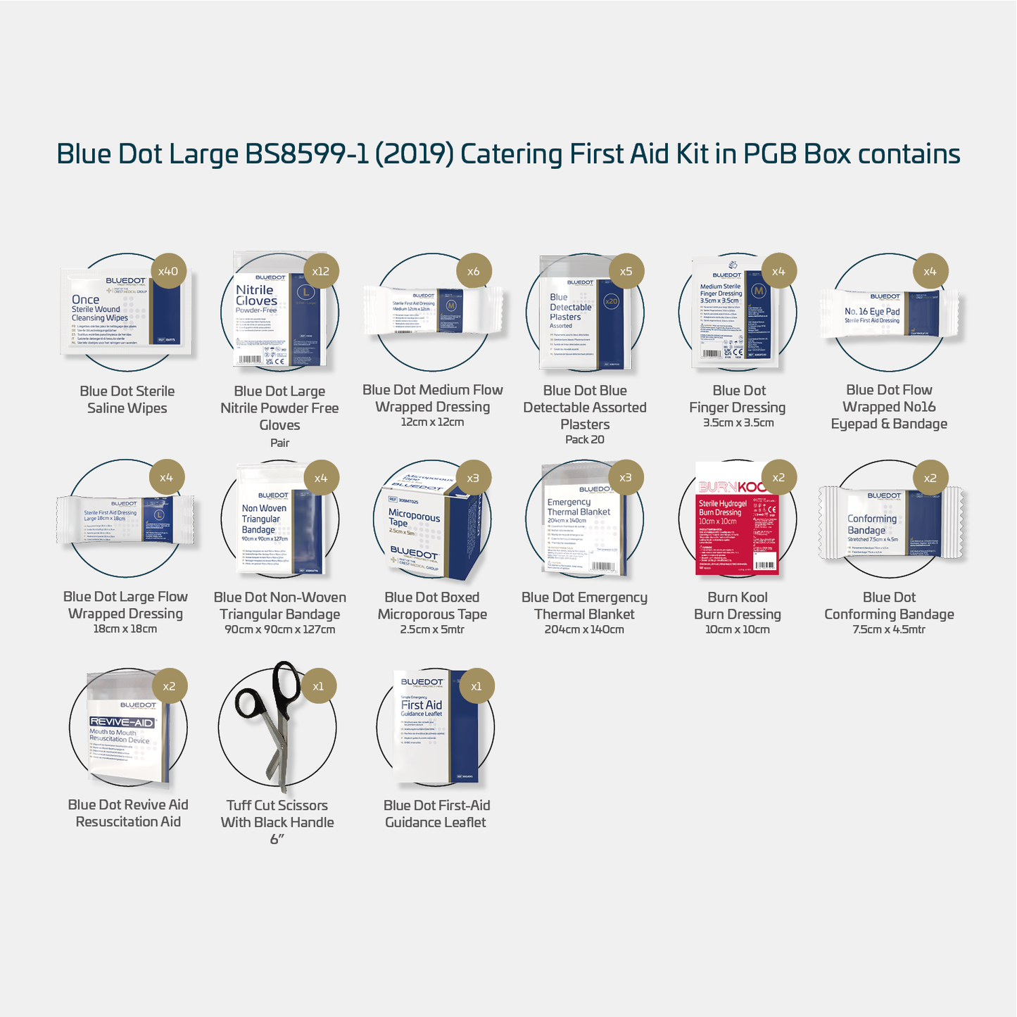 Blue Dot Large BS 8599-1 (2019) Catering First Aid Kit In PGB Box